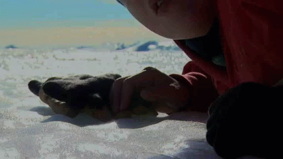 Scientists listen for the world under Antarctic ice in Encounters at the End of the World